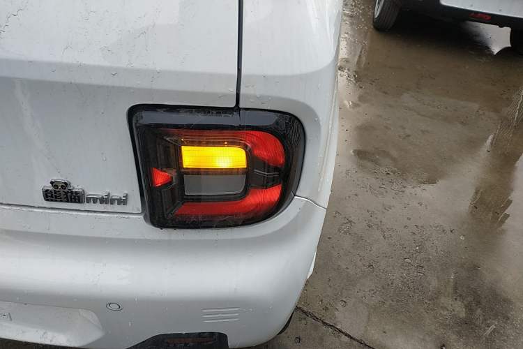 Used  Panda 2024 Panda Mini 200km Endurance Bear
