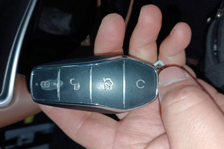 Used BYD Tang New Energy 2023 DM-i Champion Edition 112KM Prestige Model
