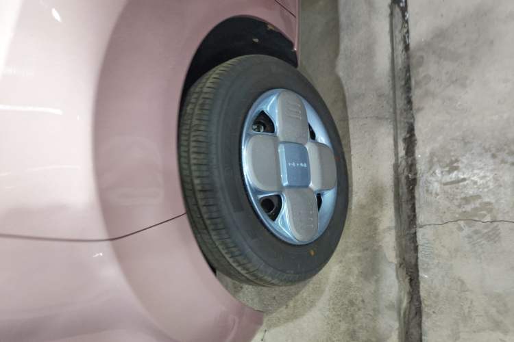 Used  Panda 2024 Panda Mini 200km Endurance Bear