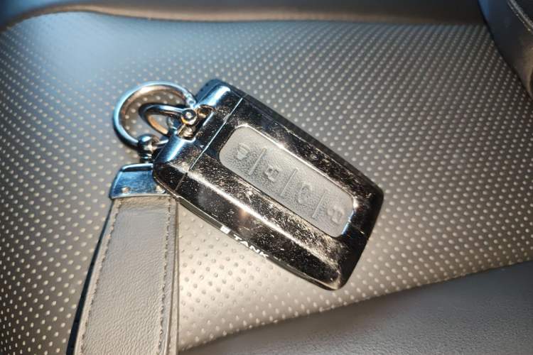 Used Tank 300 2024 2.0T Conqueror