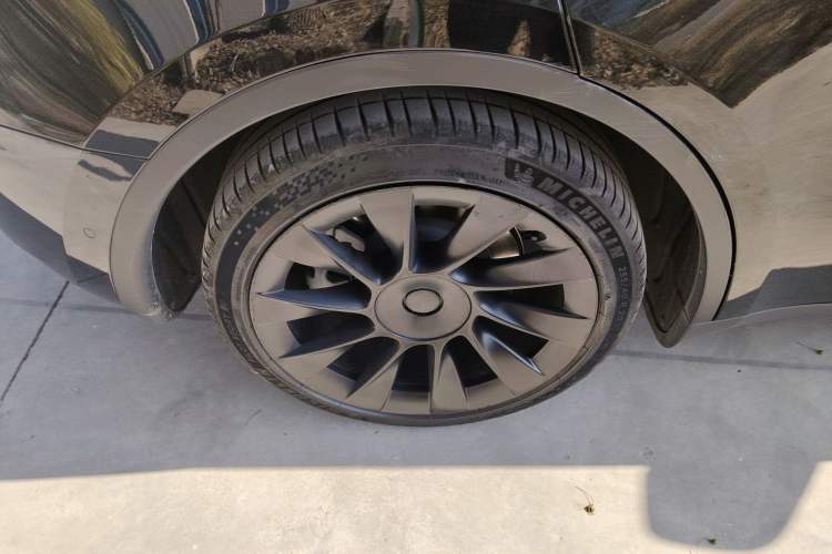 Used Tesla Model Y 2021 Standard Range Rear-Wheel Drive Version
