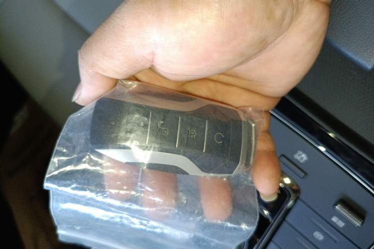 Used BYD e9 2021 Business Edition