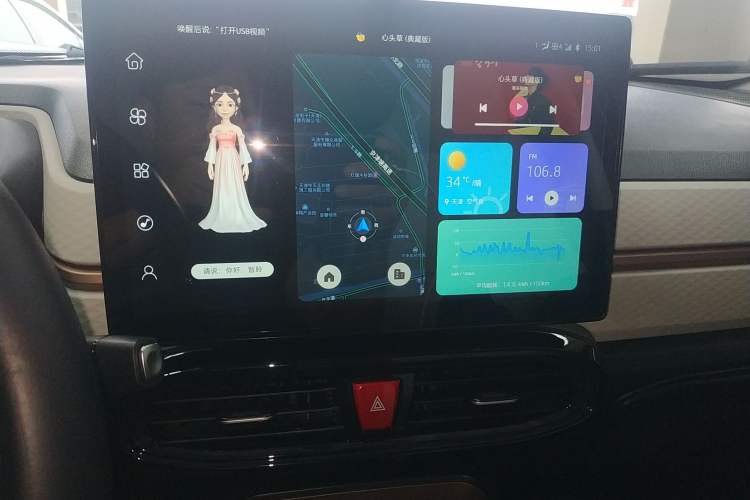 Used SOL E10X 2022 Flower Fairy Style Baby's Breath
