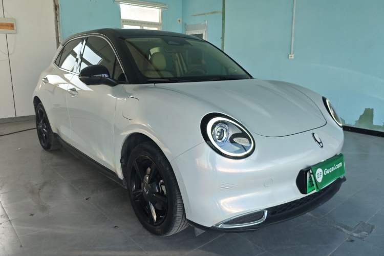 Used ORA Good Cat 2021 400km Standard Range Athena Edition Lithium-Ion Battery
