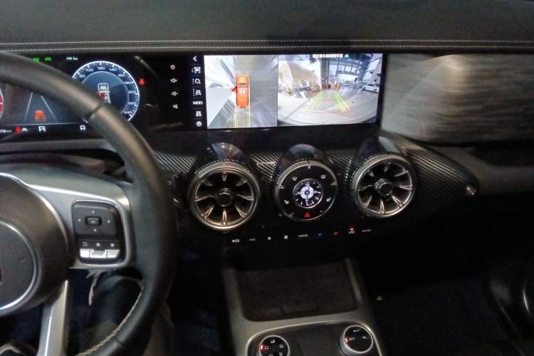 Used Tank 300 2024 2.0T Conqueror
