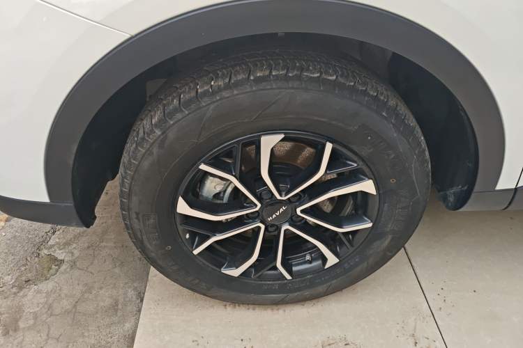 Used Haval H6 2023 National Trend Edition 1.5T Automatic Urban Version
