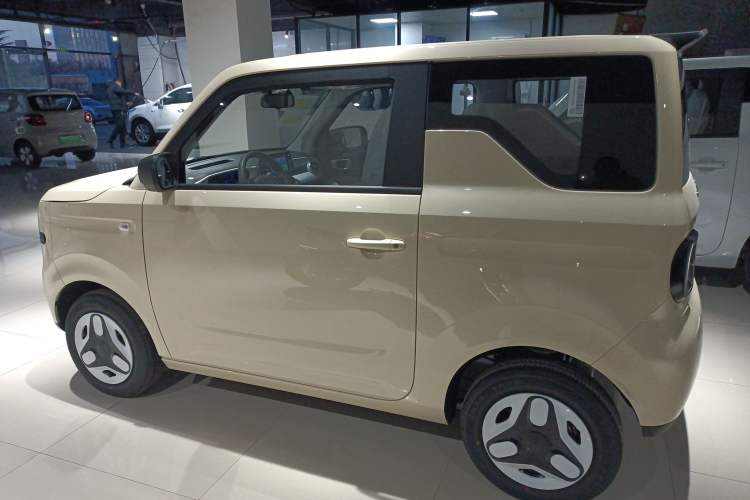 Used  Panda 2025 210 km – Yuanqi Bear