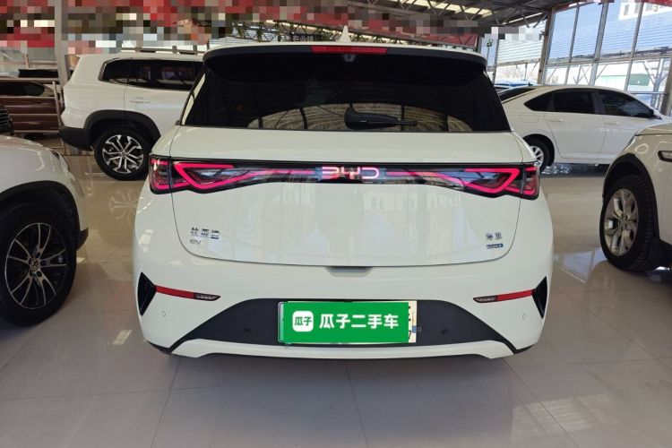 Used BYD Dolphin 2025 Smart Drive Version 420 km Freedom Edition