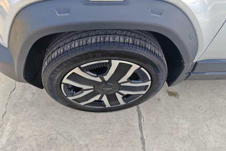 Used  03 2024 472km Four-Wheel Drive Long-Range Intelligent Advanced Version
