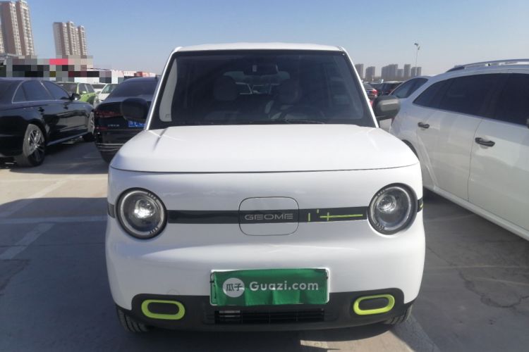 Used  Panda 2025 210 km – Yuanqi Bear
