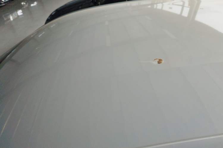 Used BYD Yuan PLUS 2022 510 km Luxury Version