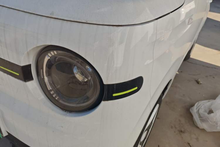 Used  Panda 2025 210 km – Yuanqi Bear