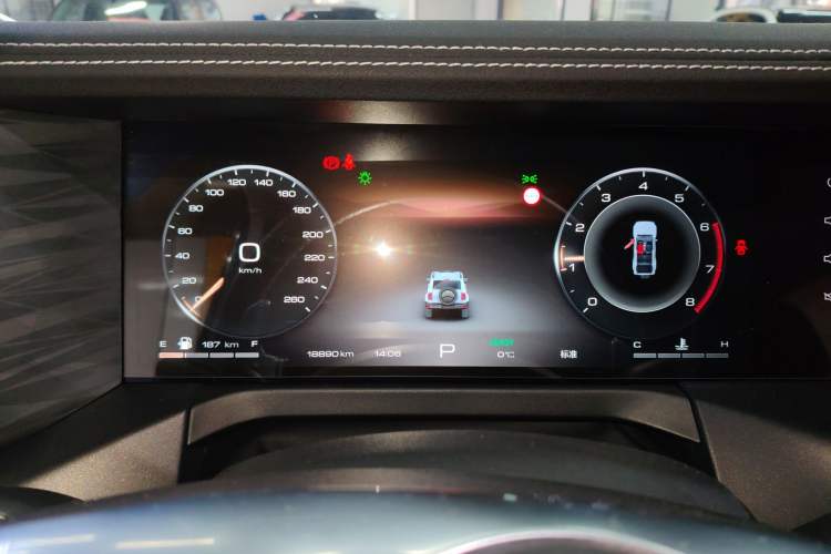 Used Tank 300 2024 2.0T Crosser
