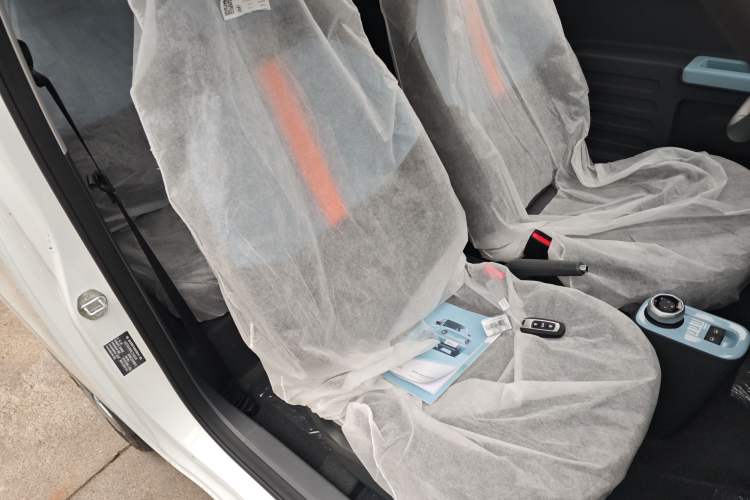 Used  Panda 2024 Panda Mini 200km Endurance Bear