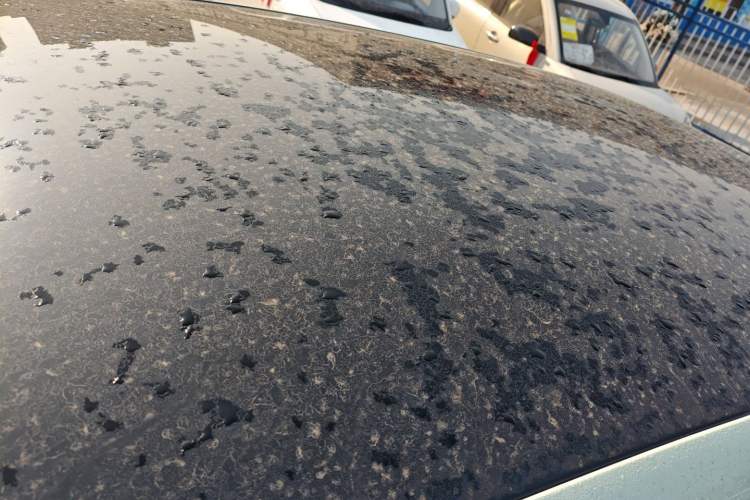 Used Leapmotor T03 2025 310 Comfort Edition
