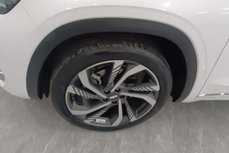 Used Geely Auto Monjaro L 2024 2.0TD High-Power Automatic Two-Wheel Drive Skyline Edition
