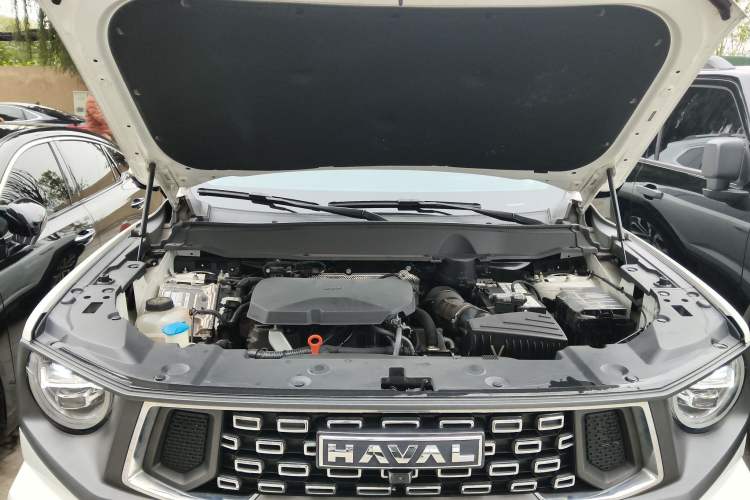 Used Haval  2023 2.0T All-Wheel-Drive Chaoye Plus
