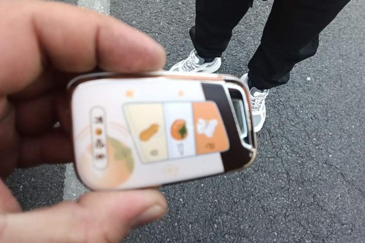 Used Volkswagen Magotan 2023 2 Million Units Commemorative Edition 330TSI DSG Luxury Version
