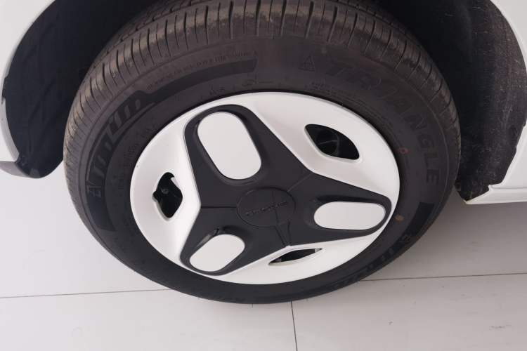 Used  Panda 2025 210 km – Yuanqi Bear
