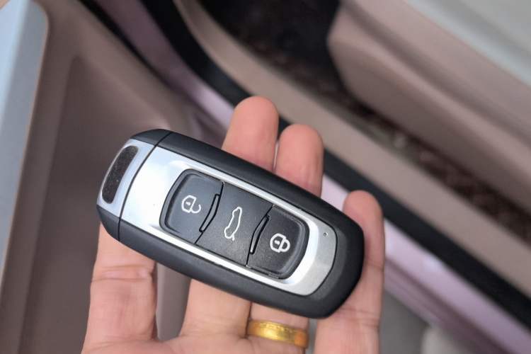 Used  Panda 2023 Panda Mini 200km Endurance Bear