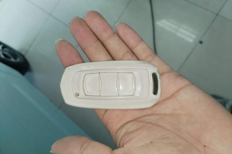 Used  Panda 2023 Panda Mini 200km Endurance Bear
