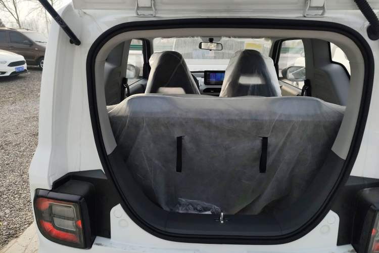 Used  Panda 2024 Panda Mini 200km Endurance Bear
