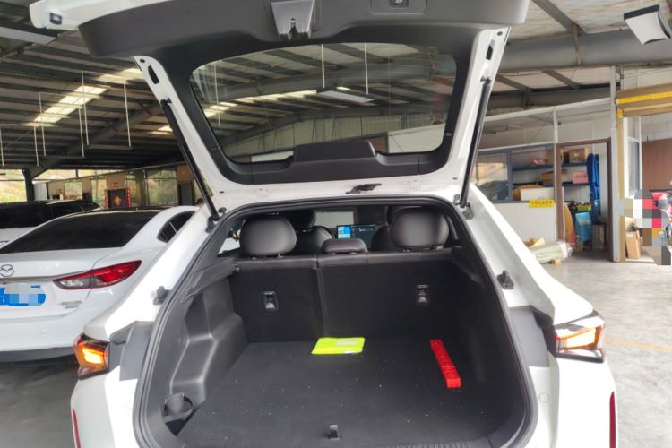 Used Livan Livan 7 2024 450km Executive Version
