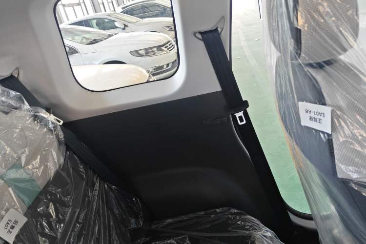 Used  Lumin 2025 205 km Xiangqin Version
