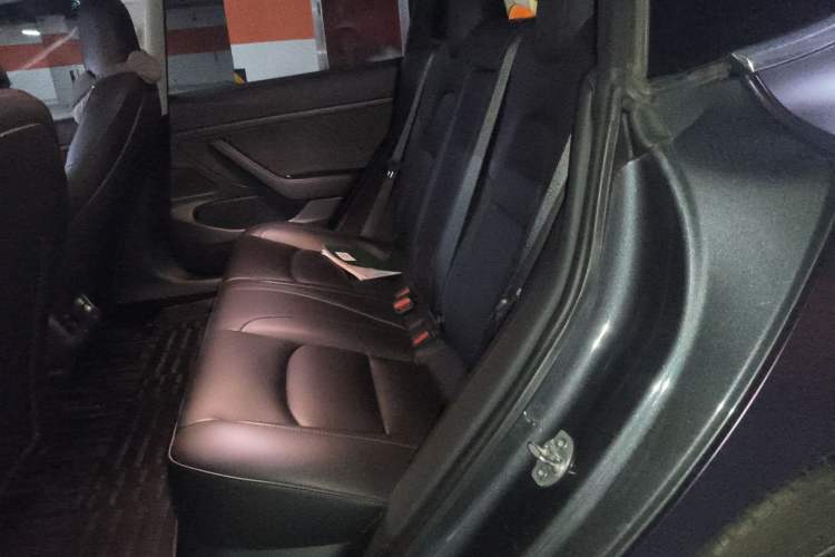 Used Tesla Model 3 2019 Standard Range Rear-Drive Upgraded Version