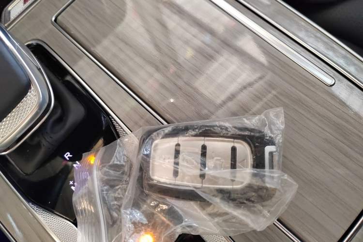 Used Hongqi HS5 2025 2.0T Two-Wheel Drive Flagship Pro Edition
