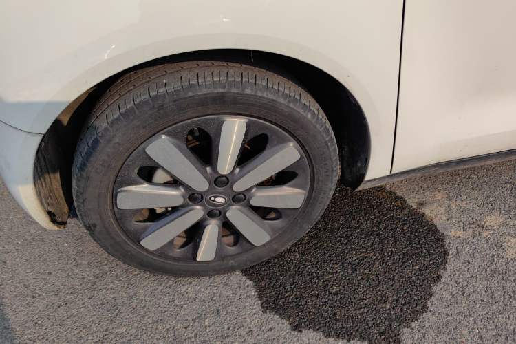 Used ORA Black Cat 2021 351 km Standard Version
