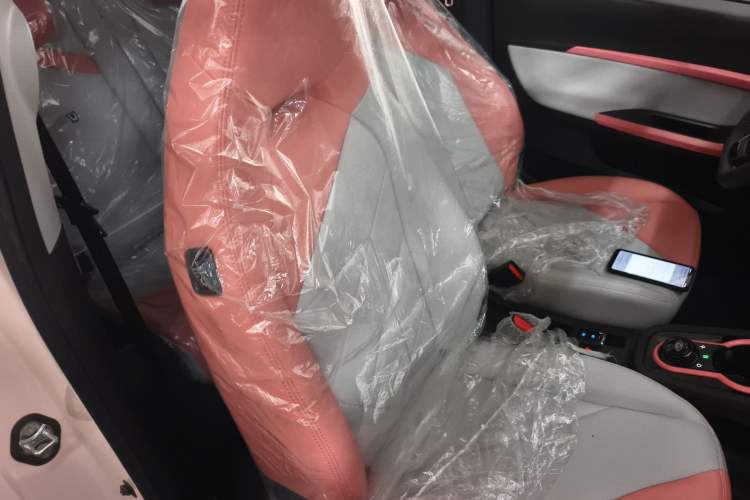 Used Chery Little Ant 2024 Revised Version Youth Edition 251 km True Love Edition 25.05 kWh
