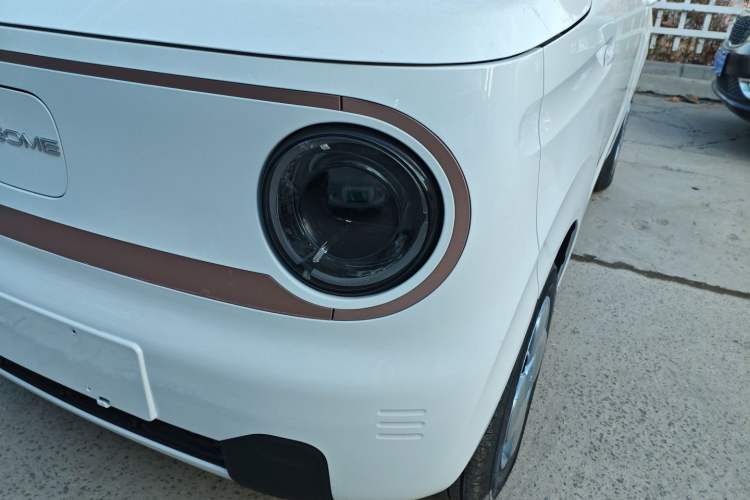 Used  Panda 2024 Panda Mini 200km Endurance Bear