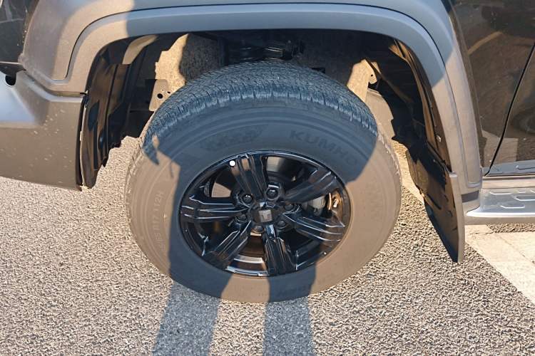 Used Tank 300 2024 2.0T Conqueror