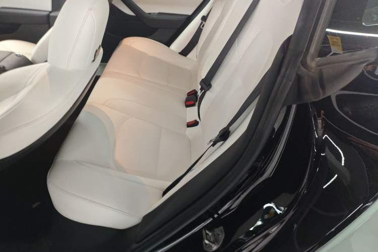 Used Tesla Model 3 2020 Revised Version Standard Range Rear-Wheel Drive – Upgraded Edition
