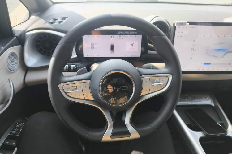 Used BYD Dolphin 2025 Smart Drive Version 420 km Freedom Edition
