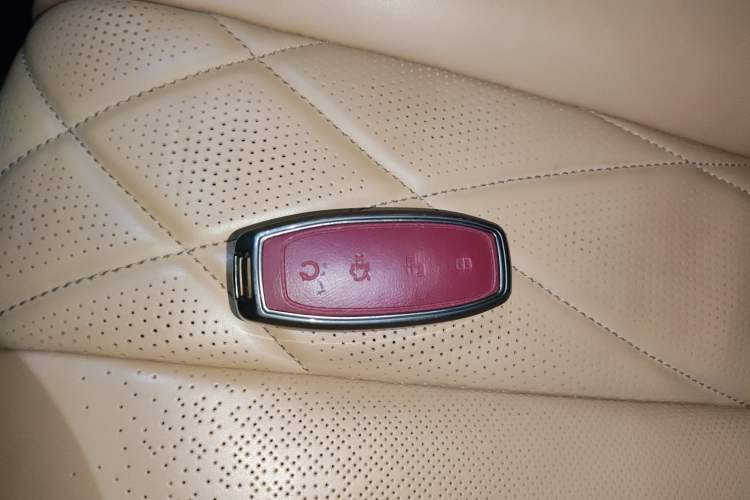 Used Denza D9 2022 DM-i 1040 Prestige Model
