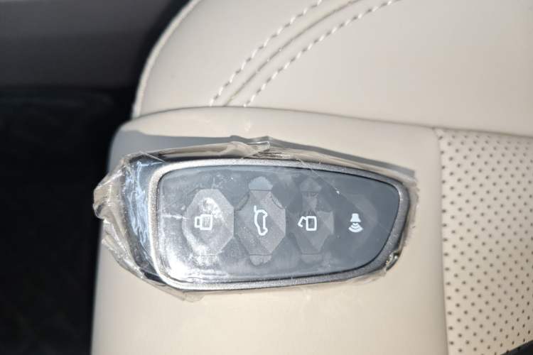 Used Haval H Dog New Energy 
