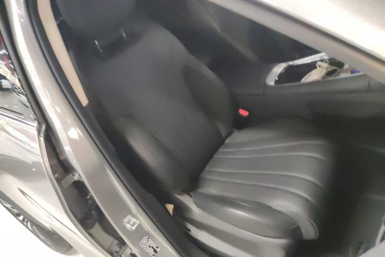 Used  Lingyun 2024 300T Two-Wheel Drive Starlight Edition
