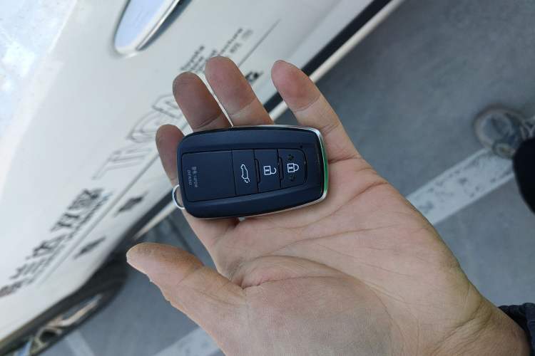 Used Toyota Wildlander 2023 Dual-Motor 2.5L E-CVT Four-Wheel Drive Prestige Edition
