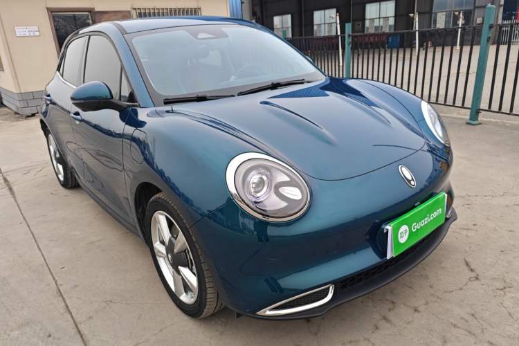 Used ORA Good Cat 2023 401 km Standard Range Luxury Version Ternary Lithium