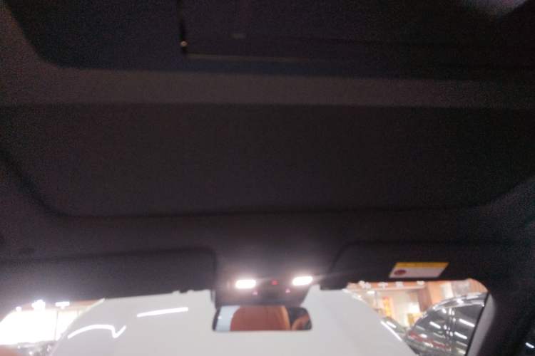 Used Li Auto L9 2022 Max model
