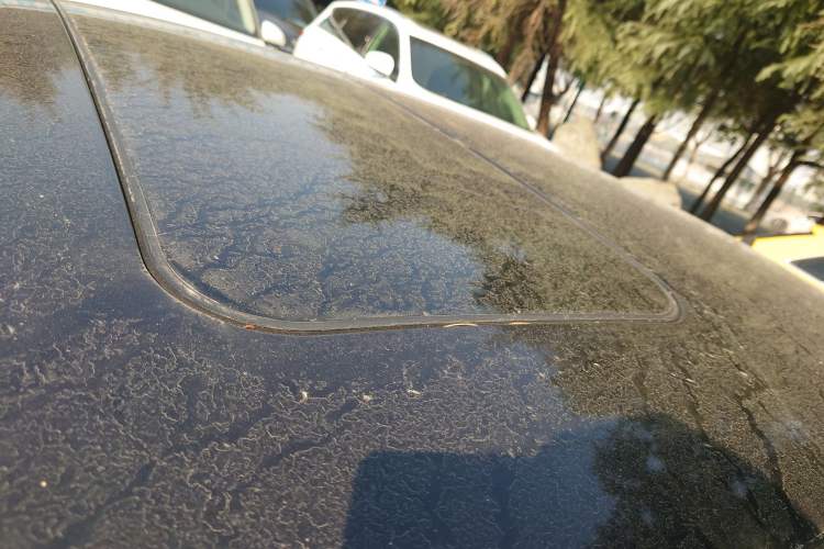 Used Skoda Rapid 2016 1.6L Manual Trend Edition
