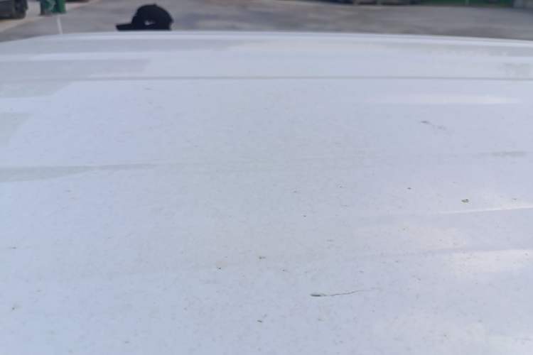 Used  Panda 2024 Panda Mini 200km Longteng PRO Edition
