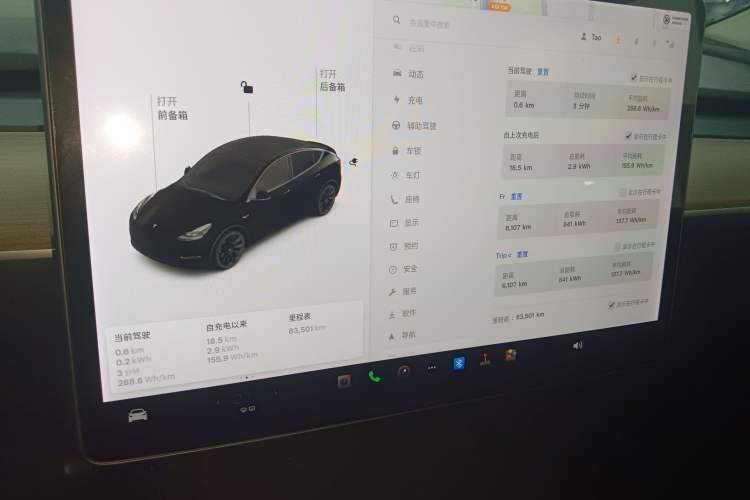 Used Tesla Model Y 2021 Standard Range Rear-Wheel Drive Version
