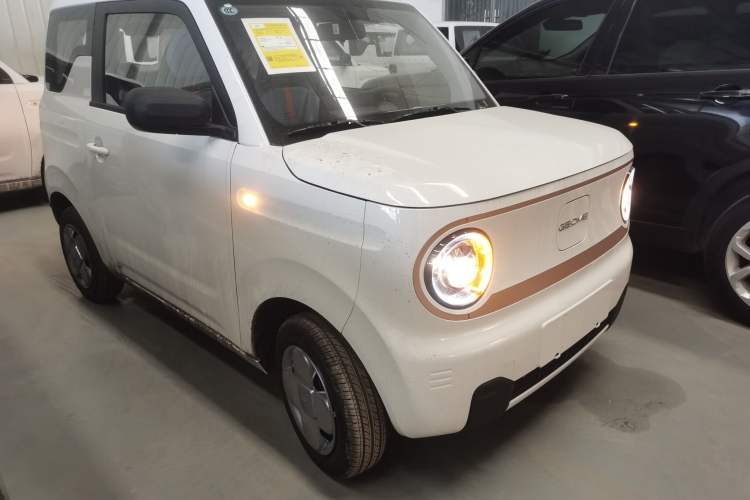 Used  Panda 2024 Panda Mini 200km Endurance Bear
