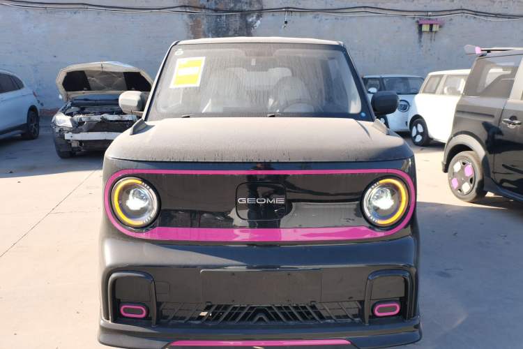 Used  Panda 2025 210km Panda Kart