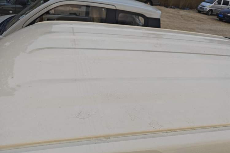 Used  Panda 2025 210 km – Yuanqi Bear