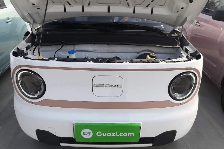 Used  Panda 2024 Panda Mini 200km Endurance Bear
