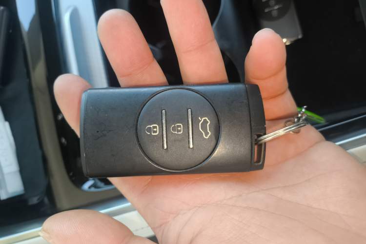 Used  Lingyun 2024 300T Two-Wheel Drive Starlight Edition
